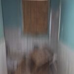 1088 Kney St 20