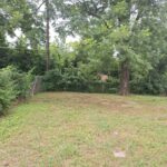 12 - 1541 Netherwood Ave 18-53-09-VKKF